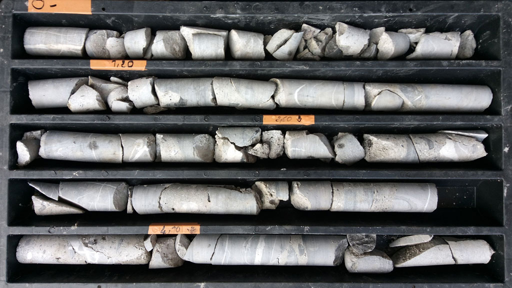 Échantillons de carottes de sol argileuse issus d'un sondage géotechnique